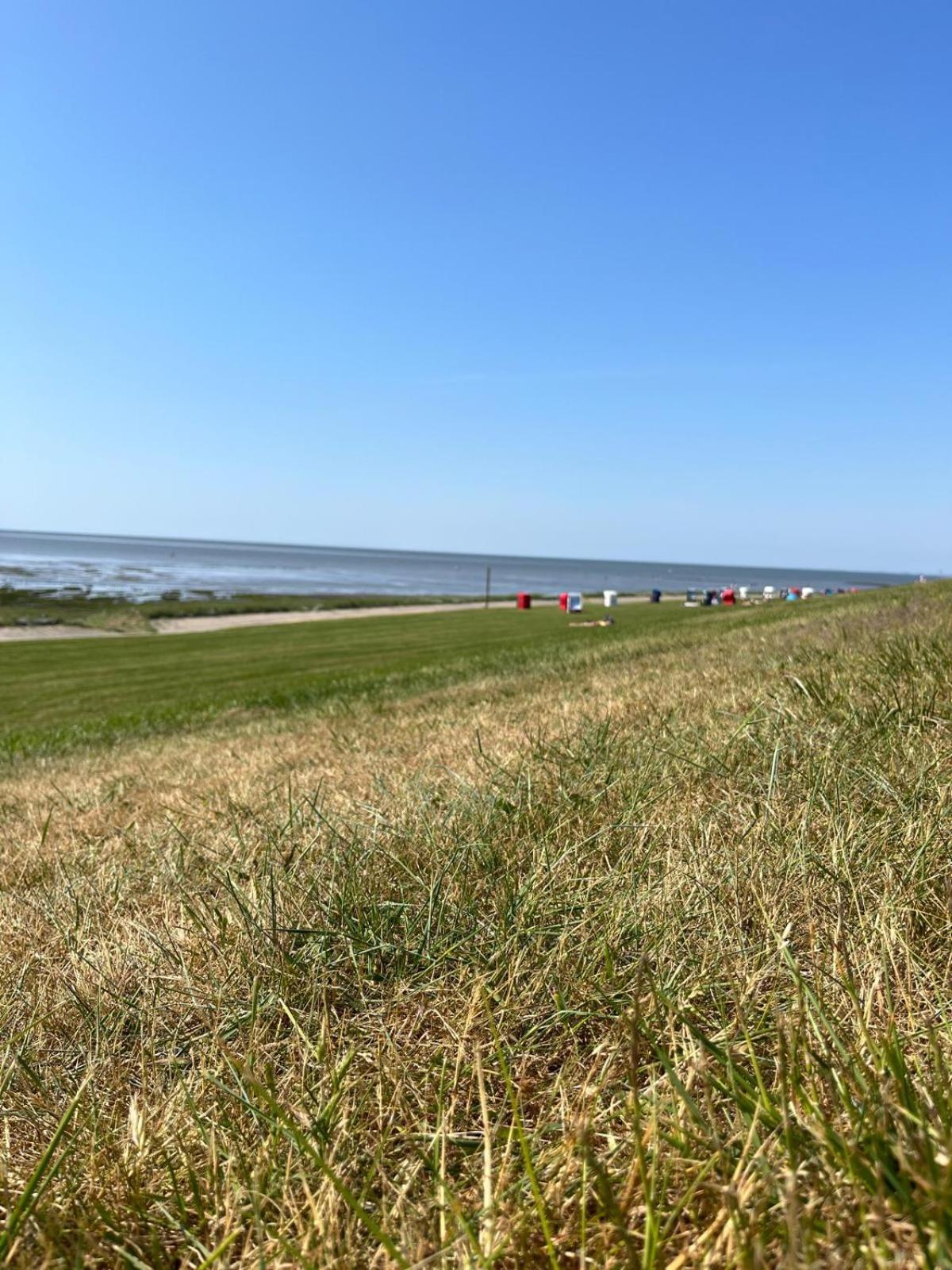 Frieda - Ferienwohnung Mit Deichblick Friedrichskoog Buitenkant foto